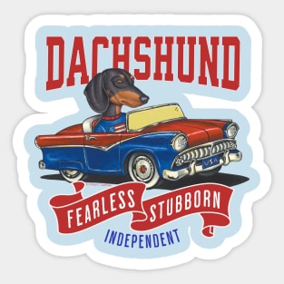 Funny and Cute Doxie Dachshund dog in a classic vintage retro car with red white and blue banner flags Sticker